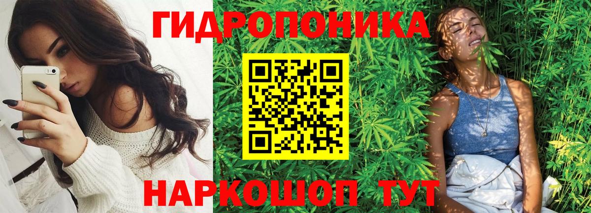 Бошки марихуана AK-47 Сарапул